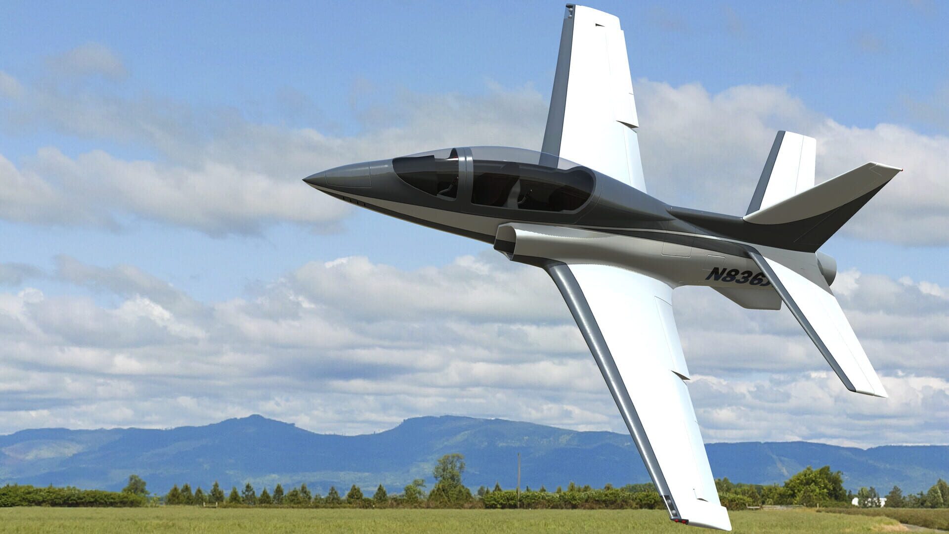 RealFlight Evolution: ViperJet - Screenshot