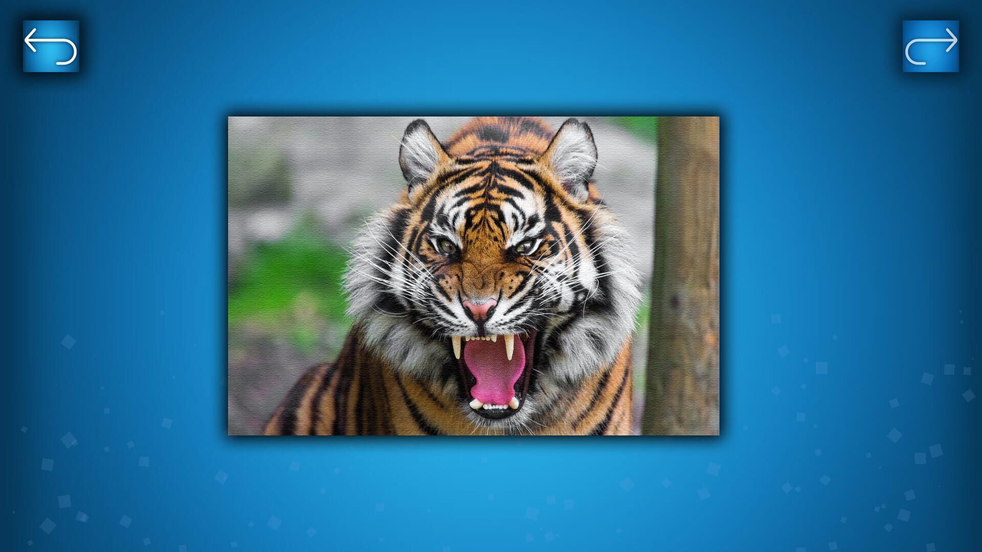 Puzzle: Animals - Screenshot