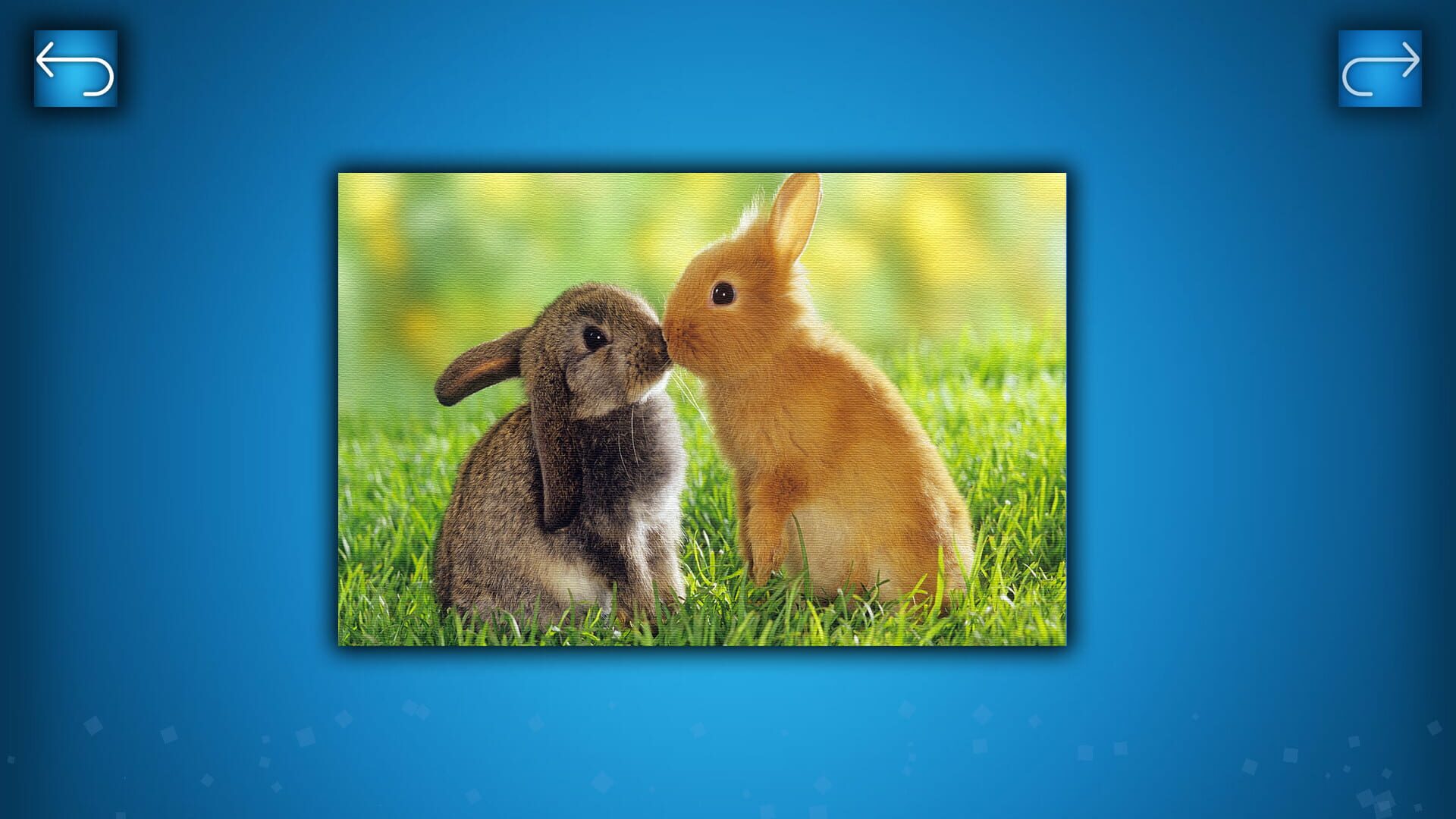 Puzzle: Animals - Screenshot