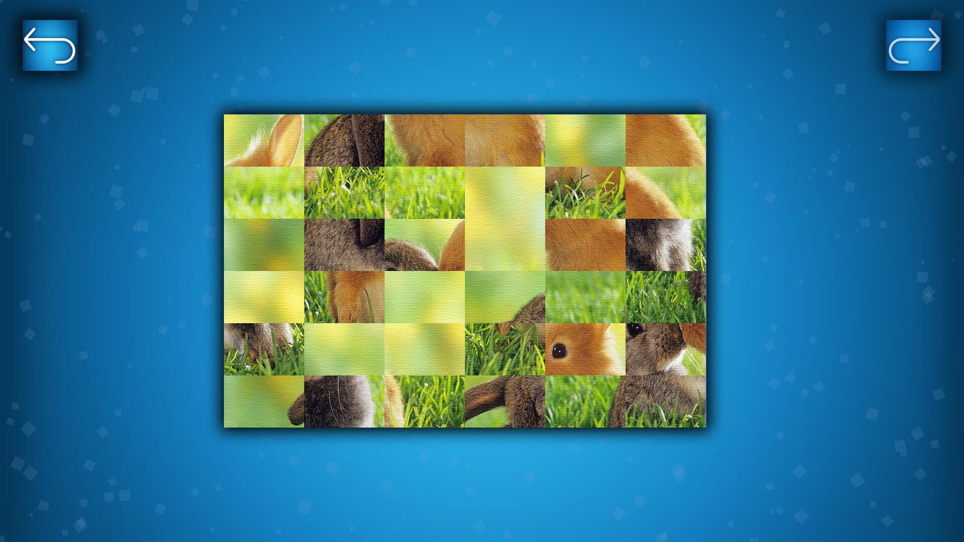 Puzzle: Animals - Screenshot