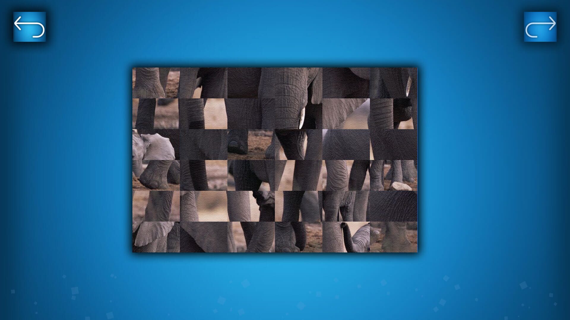Puzzle: Animals - Screenshot