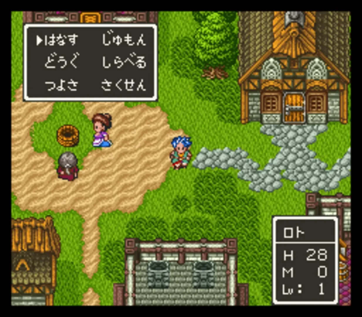 Captura de pantalla - Dragon Quest VI: Maboroshi no Daichi