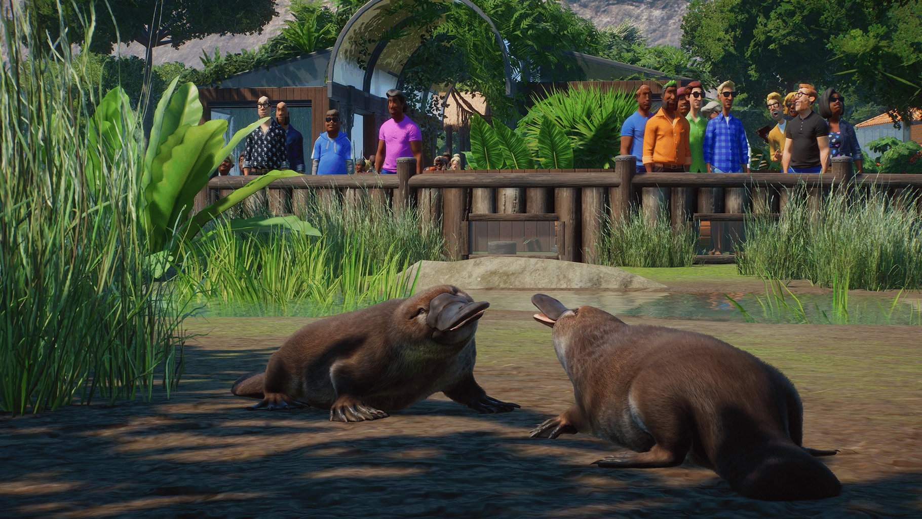 Planet Zoo: Console Edition - Deluxe Edition screenshot