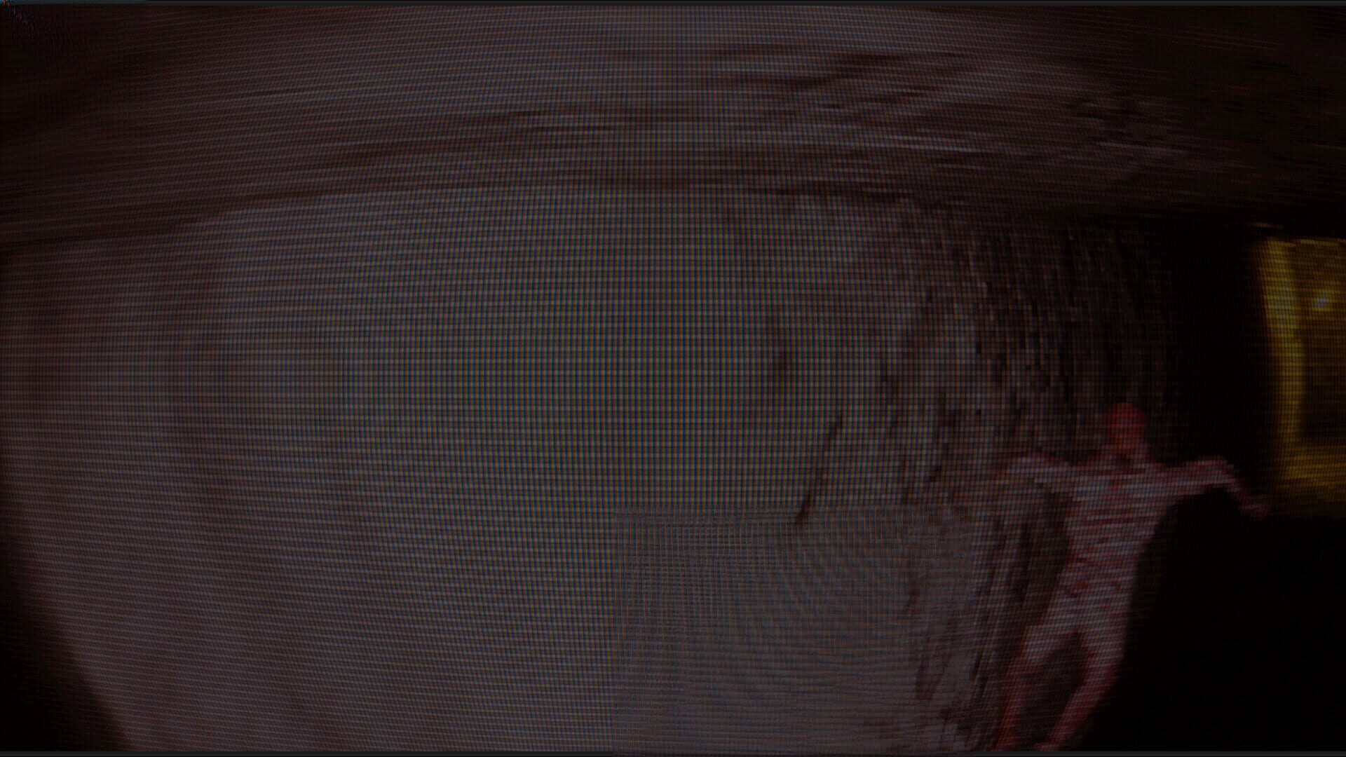 The Death of Rebirth - Screenshot