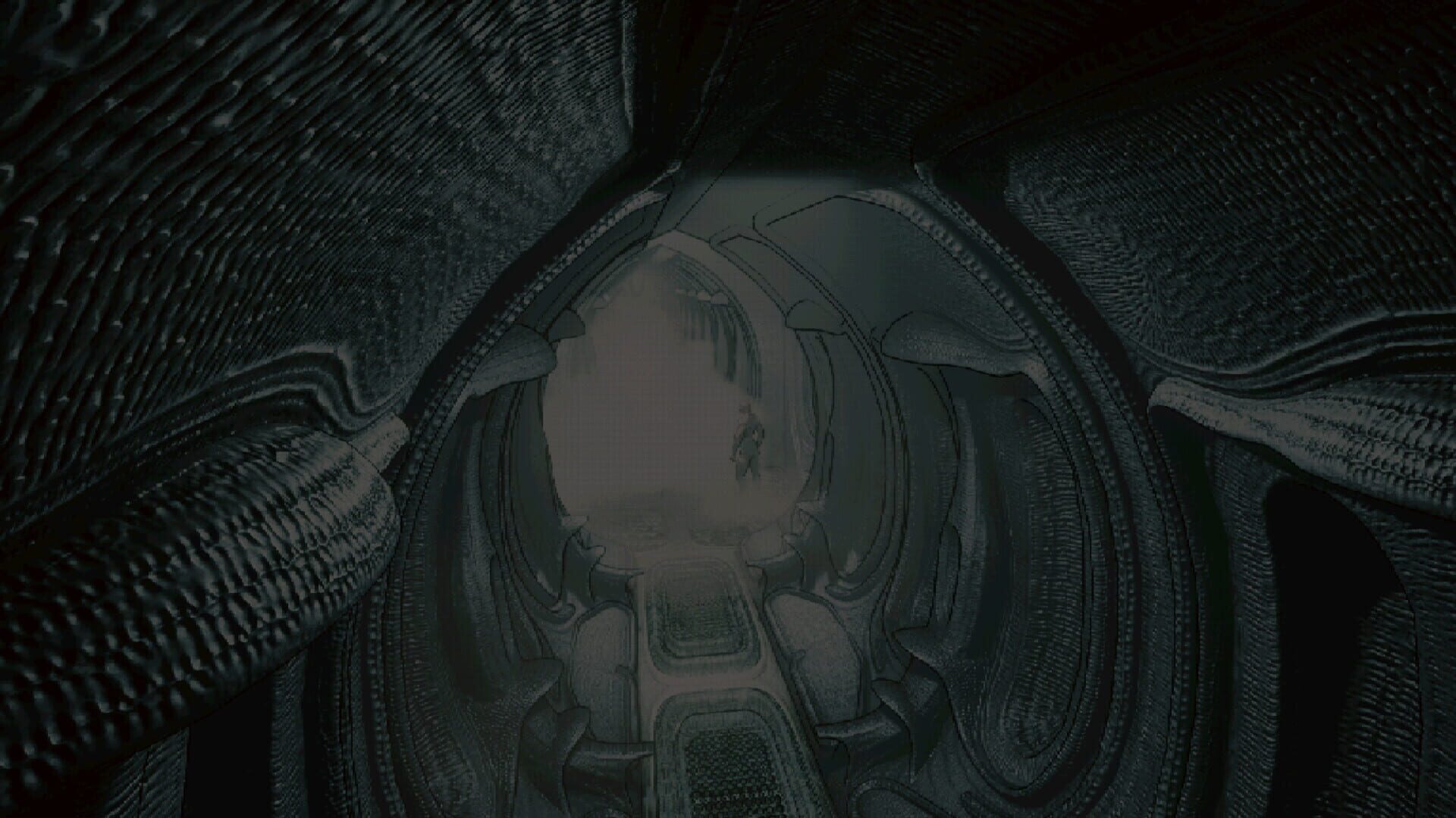 The Death of Rebirth - Screenshot