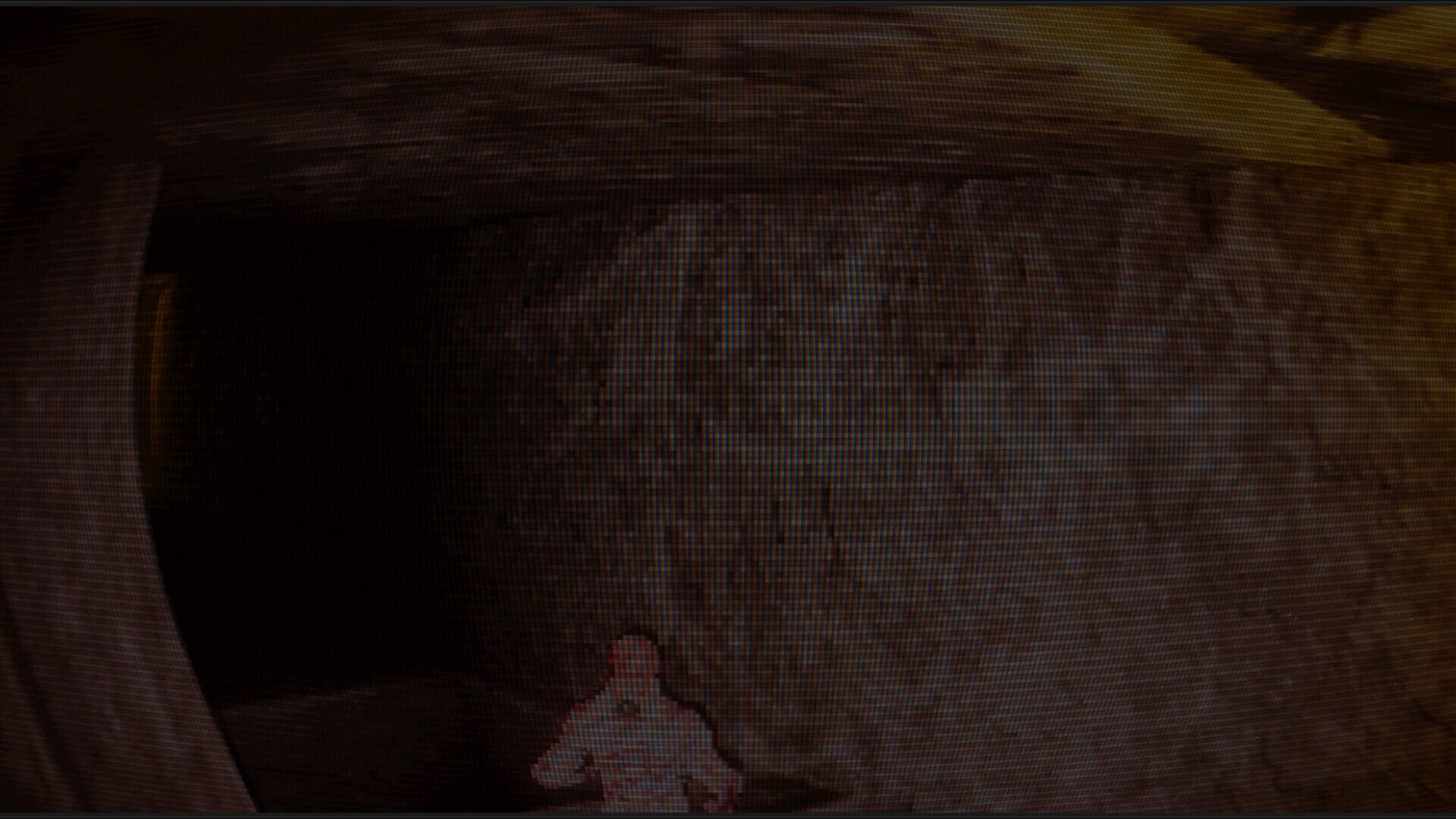 The Death of Rebirth - Screenshot