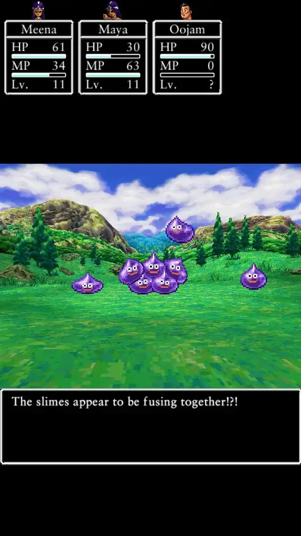 Captura de pantalla - Dragon Quest IV: Chapters of the Chosen