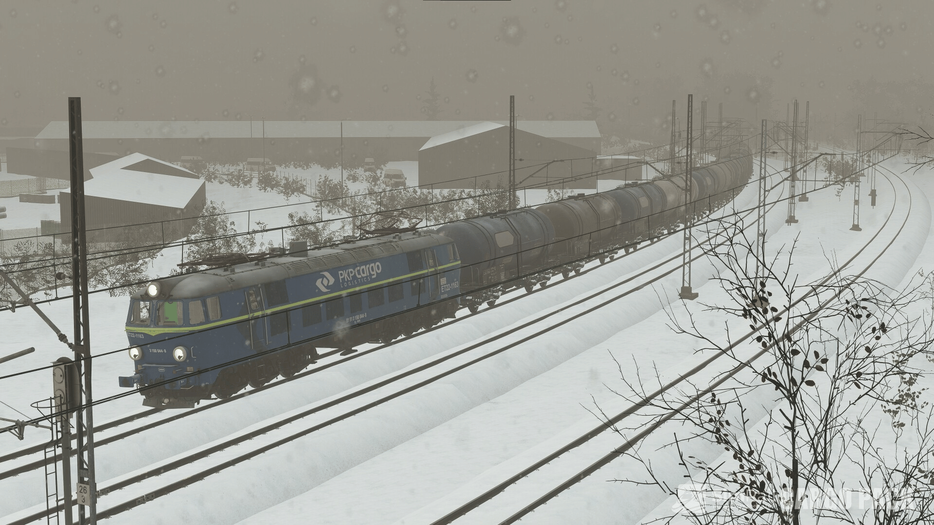 SimRail: The Railway Simulator - Cargo Pack screenshot