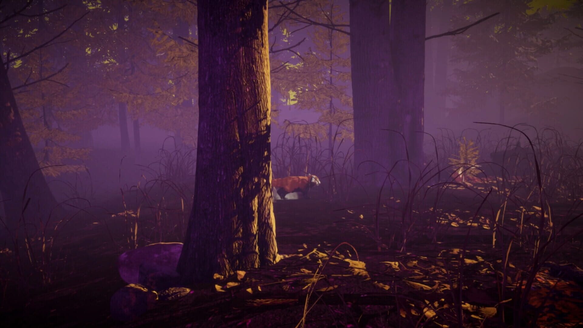 Edenbound - Screenshot