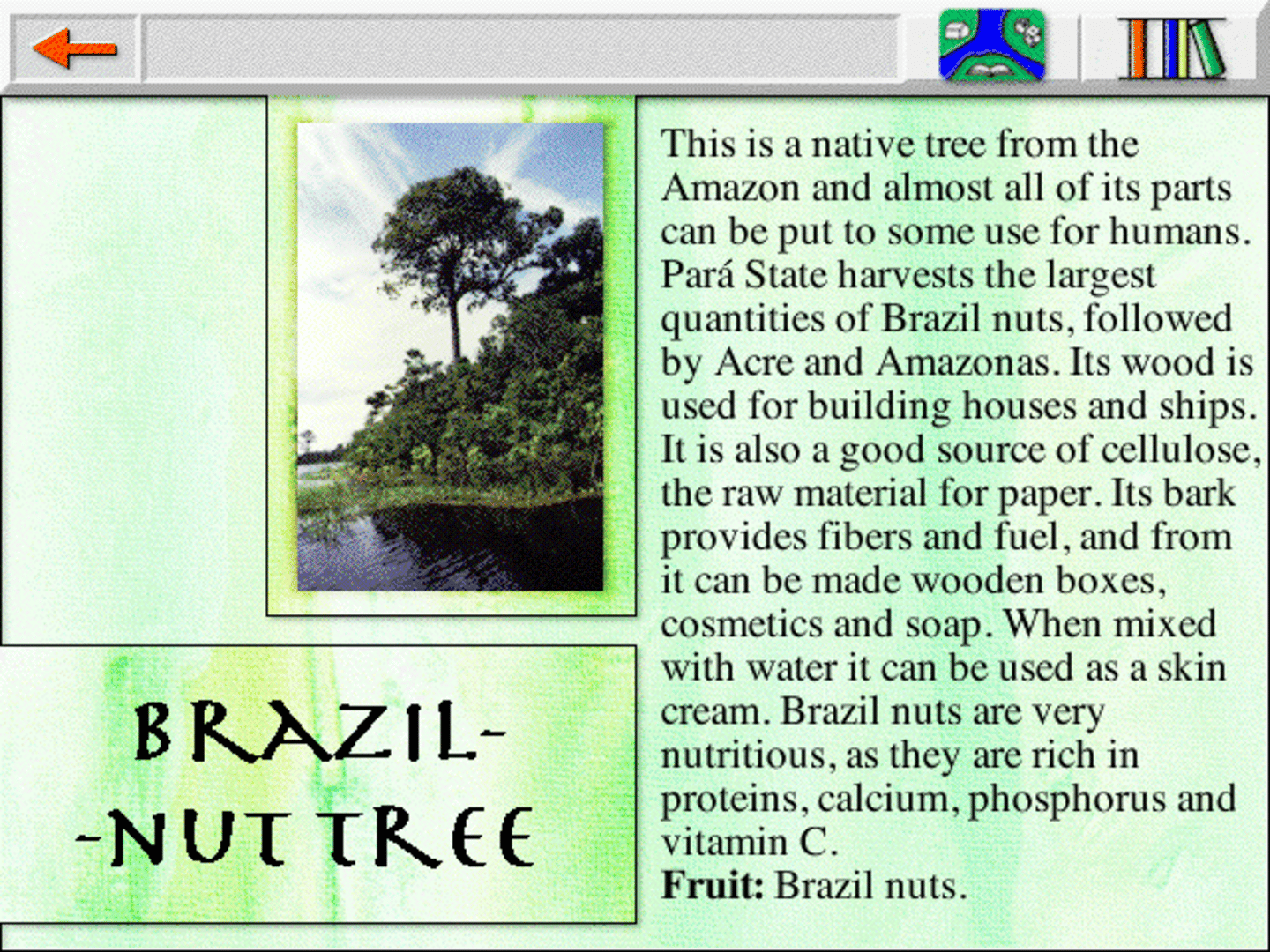 Lost in the Amazon screenshot