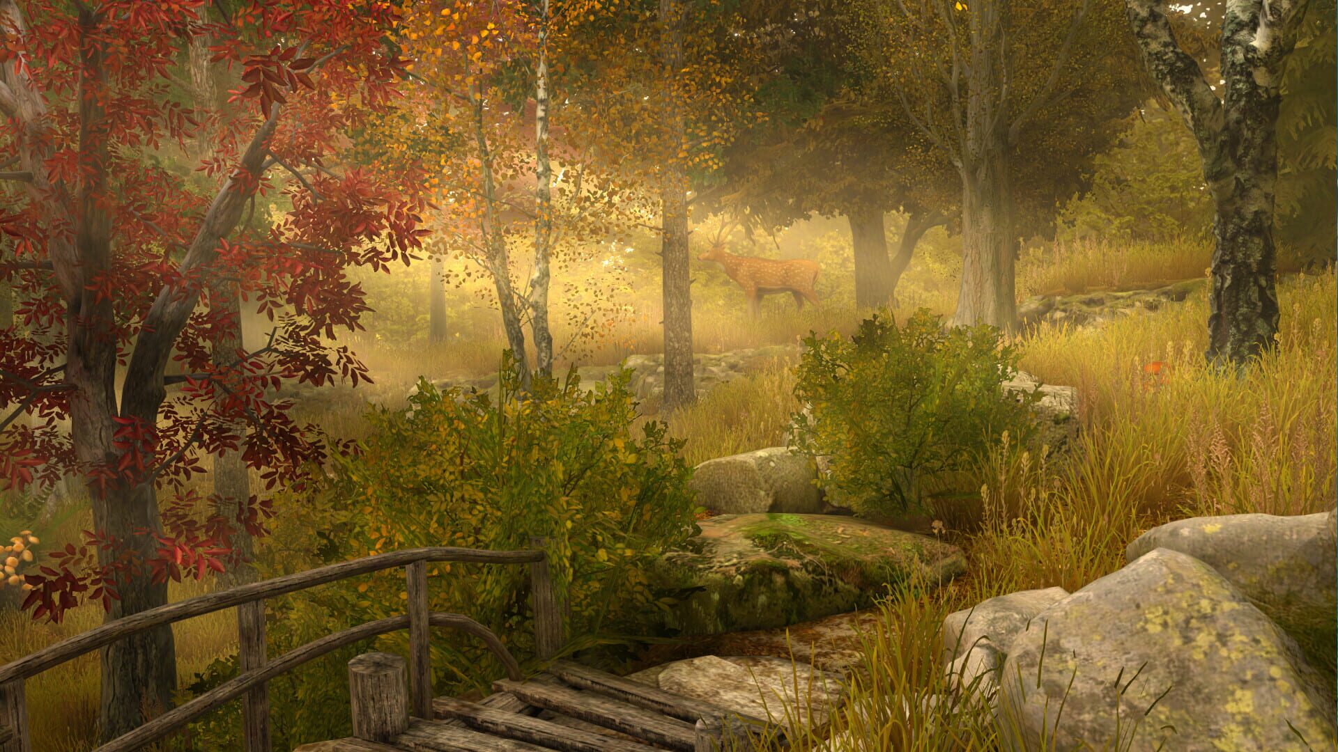 Screen Wonders - Screenshot
