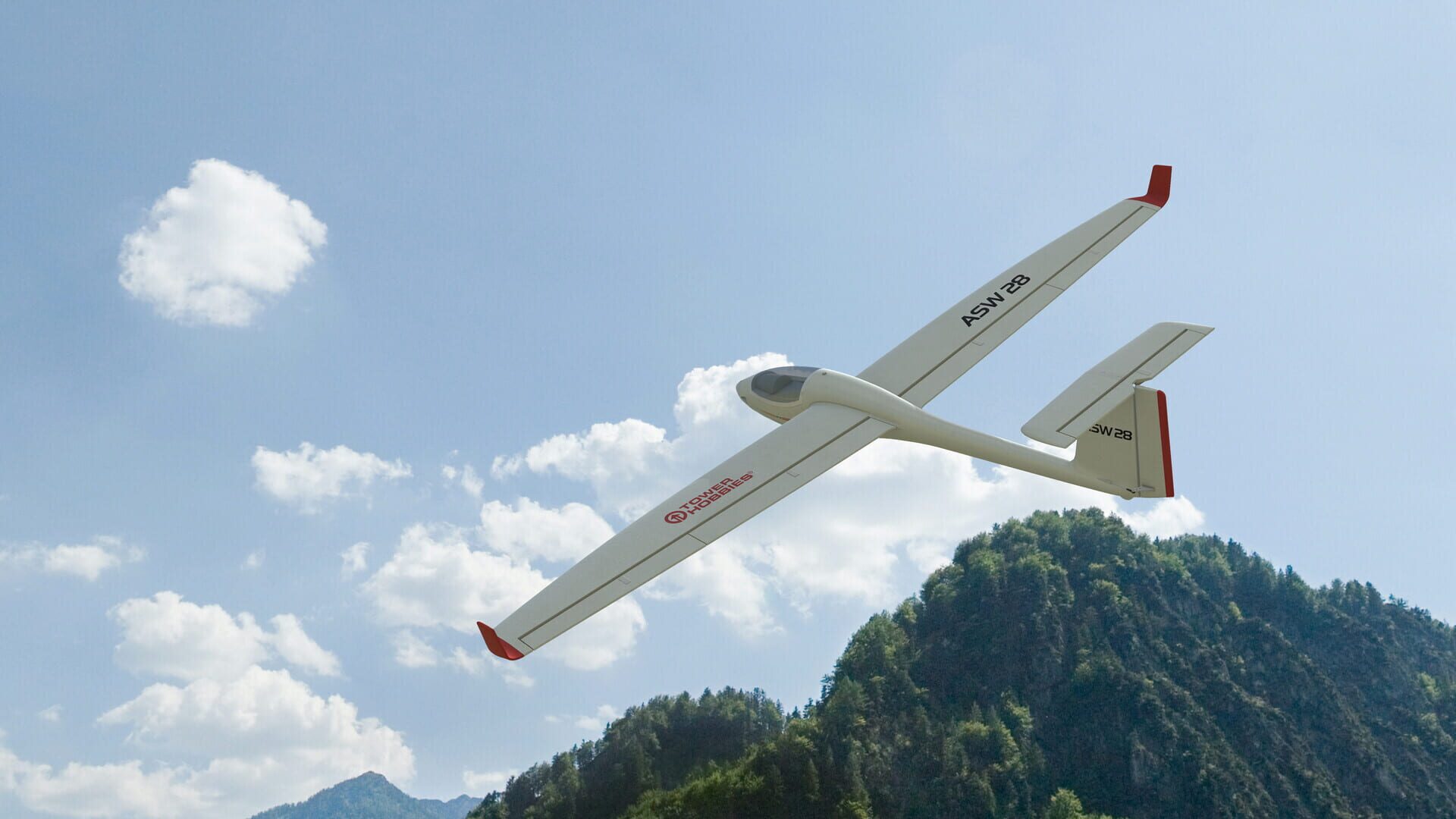 RealFlight Evolution: 2024 Year Content Pass - Screenshot