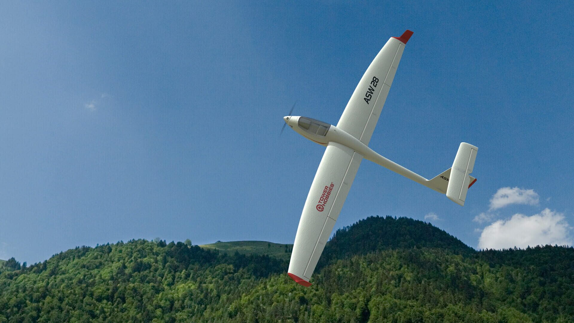 RealFlight Evolution: 2024 Year Content Pass - Screenshot