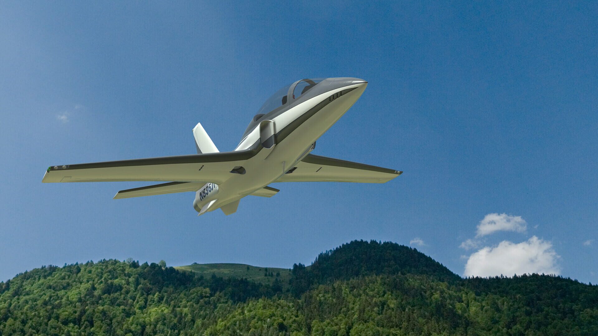 RealFlight Evolution: 2024 Year Content Pass - Screenshot