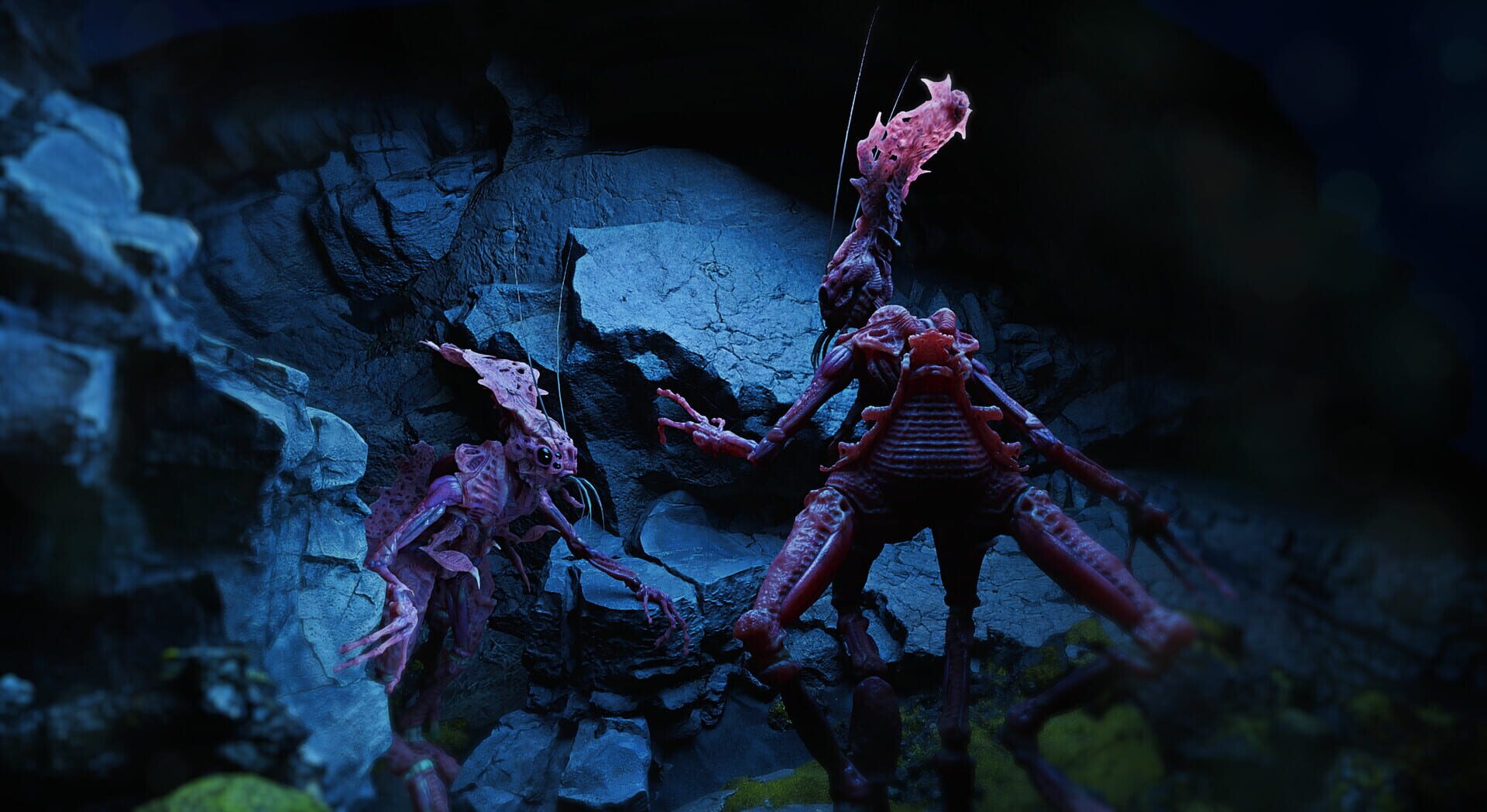 Sifera - Screenshot