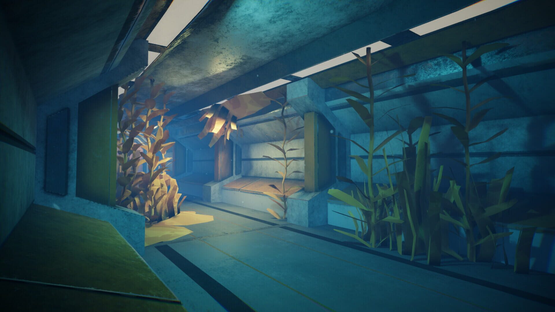 Ray - Screenshot