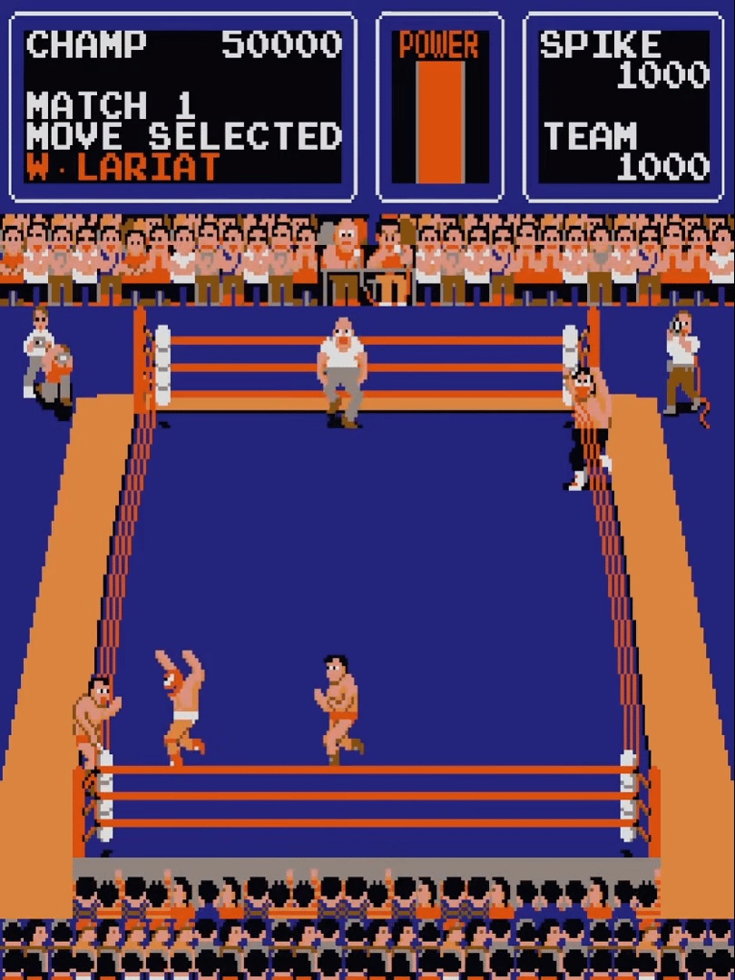 Tag Team Wrestling screenshot