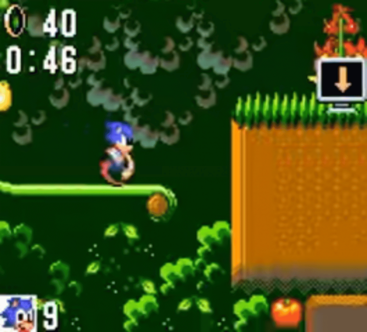 Sonic the Hedgehog screenshot