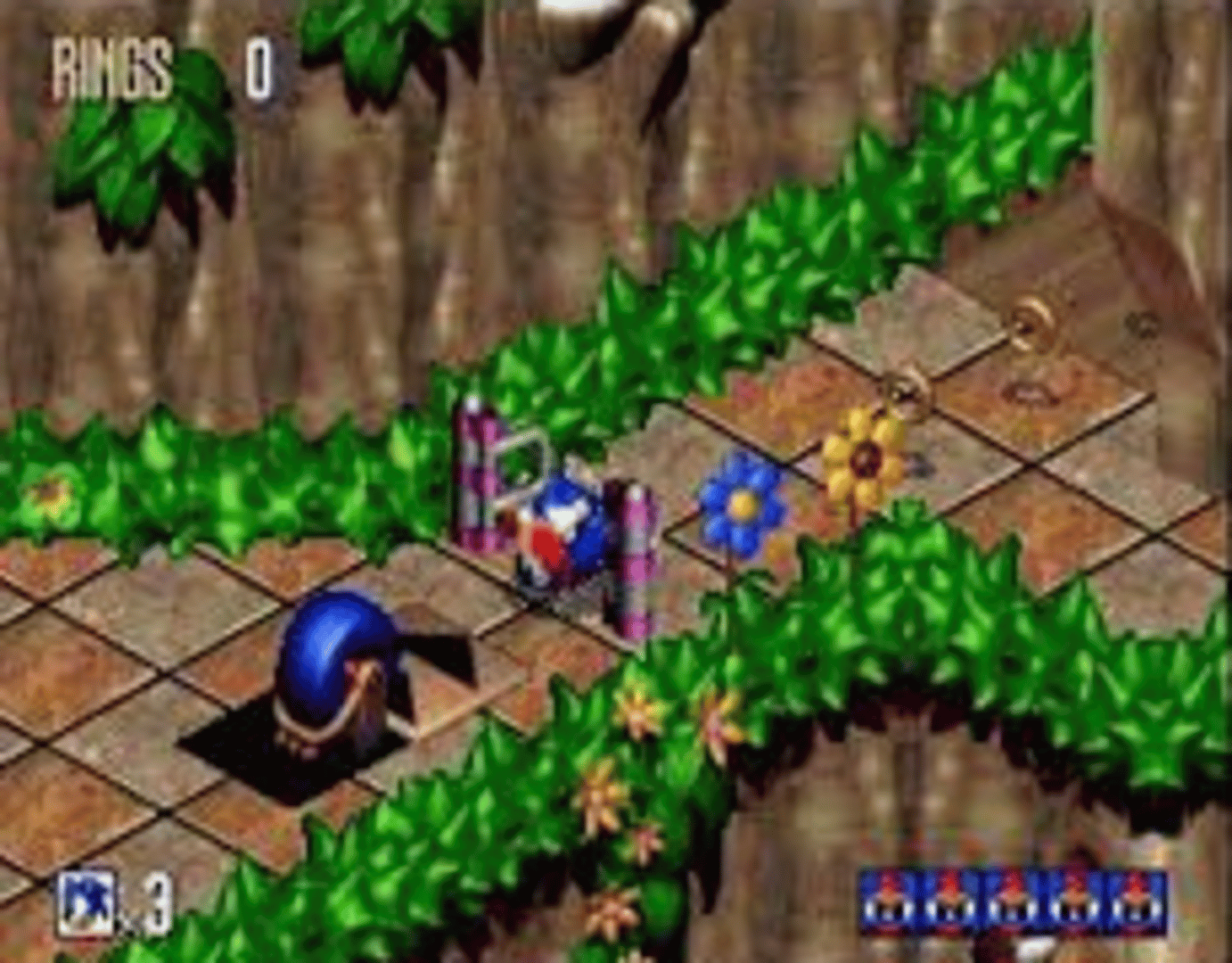 Sonic 3D Blast screenshot