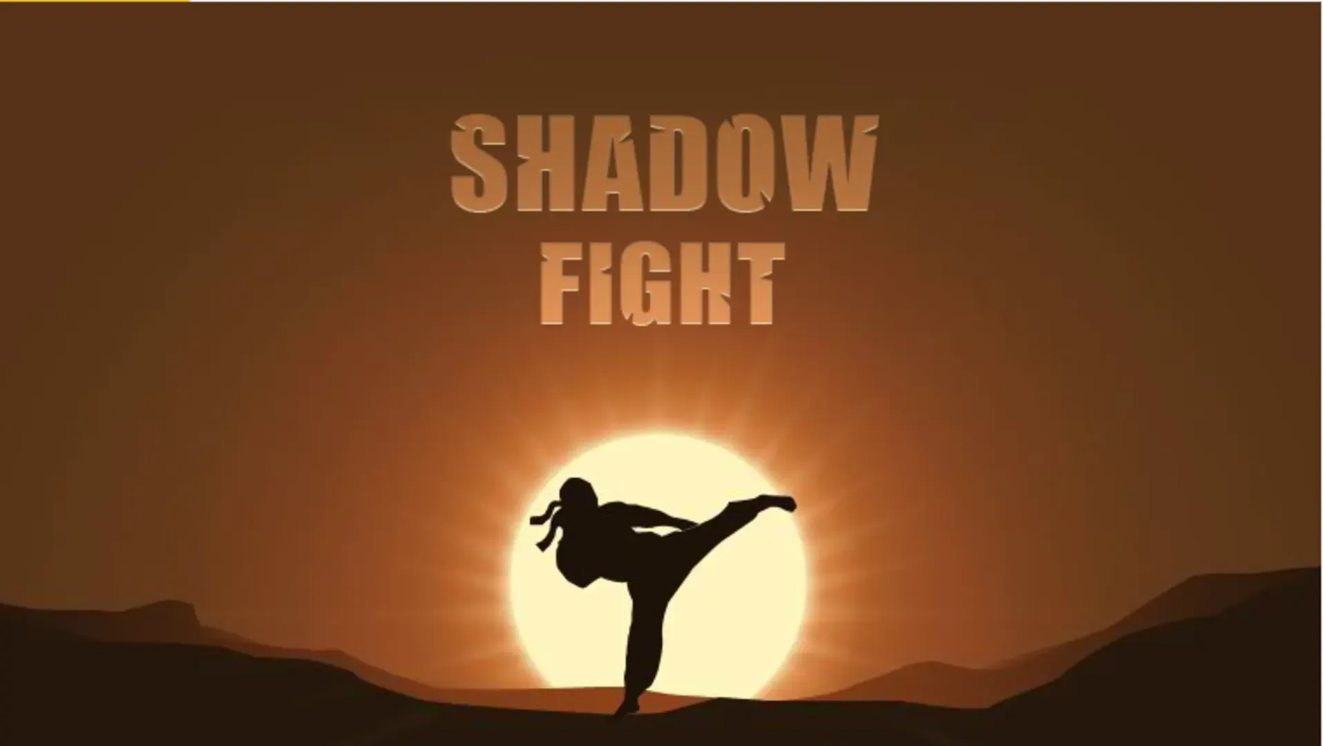 Shadow Fight