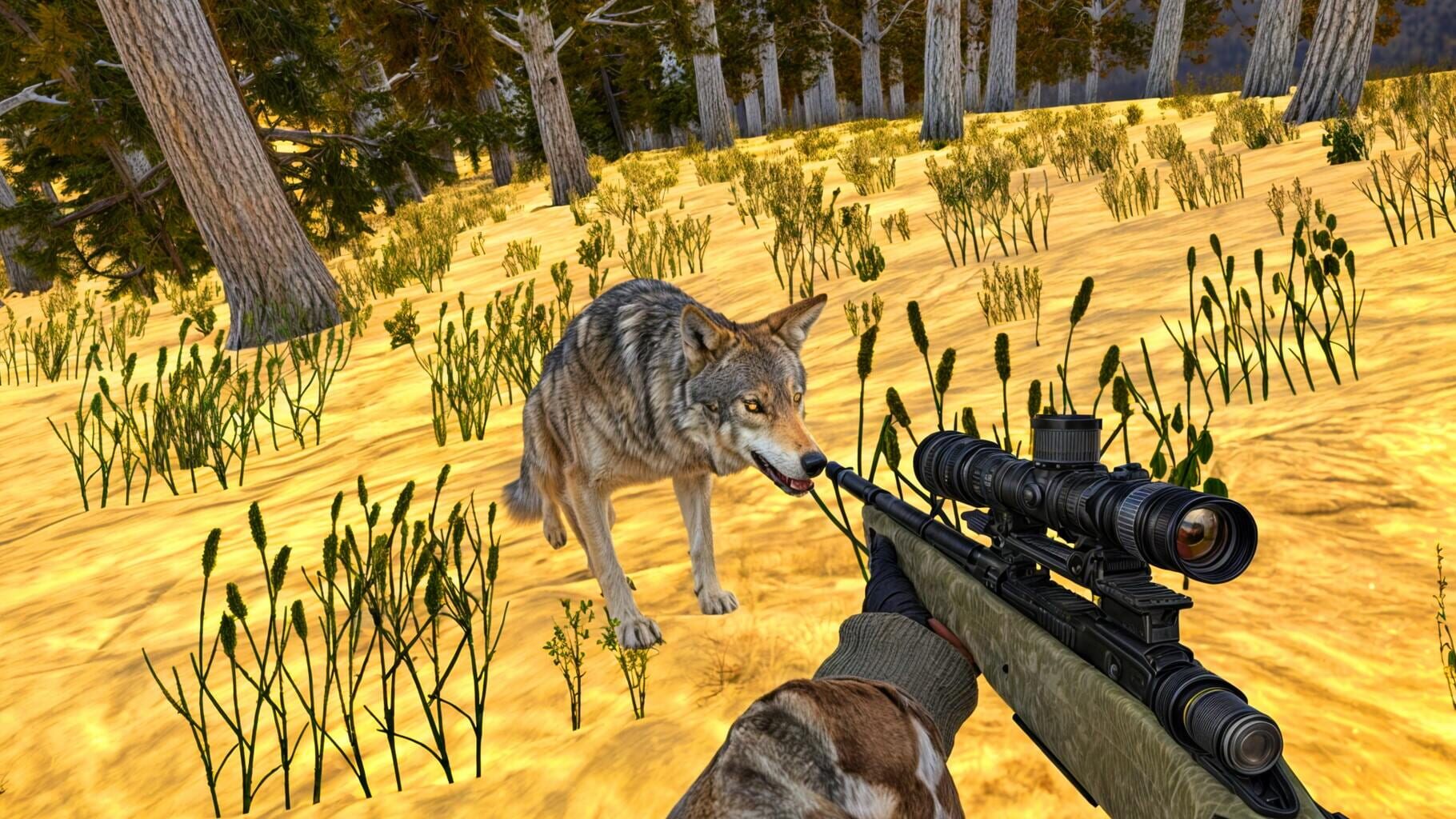 Animal Hunting 3D screenshot