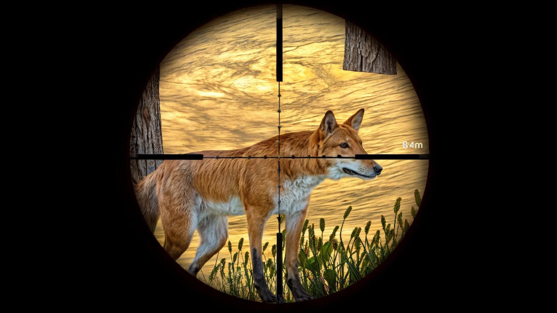 Animal Hunting 3D screenshot