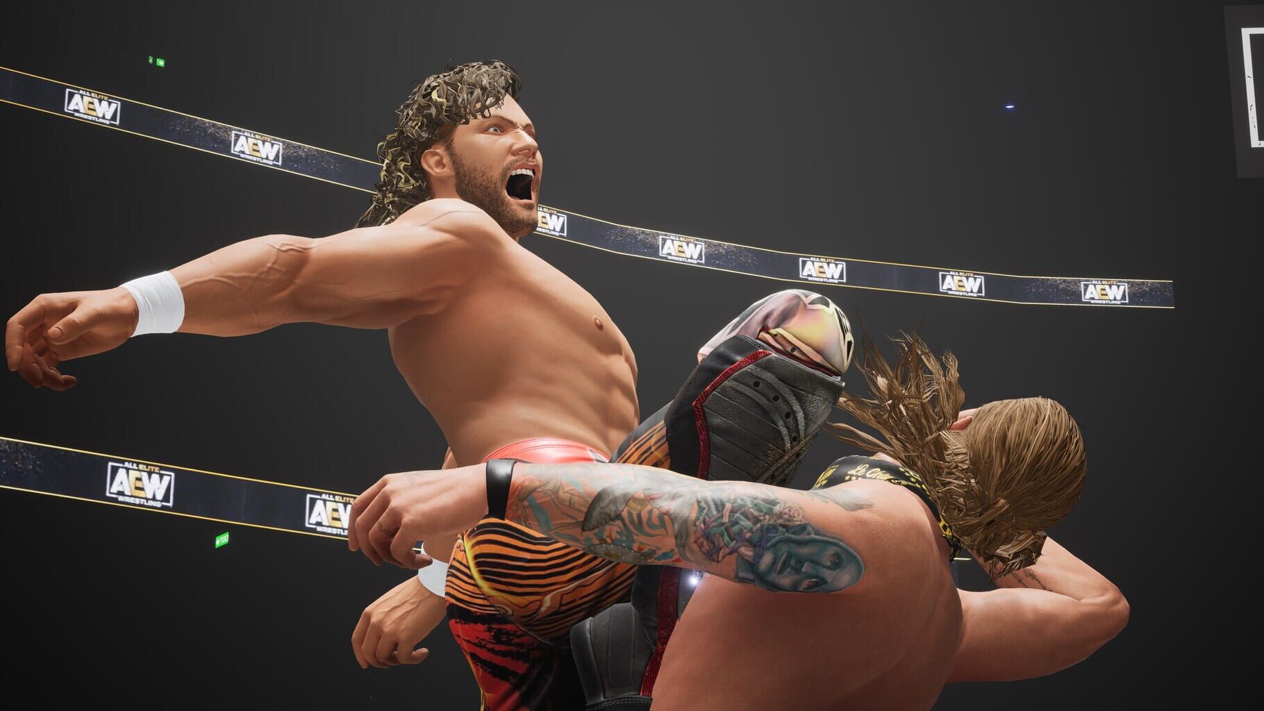 Captura de pantalla - All Elite Wrestling: Fight Forever - Ultimate Edition