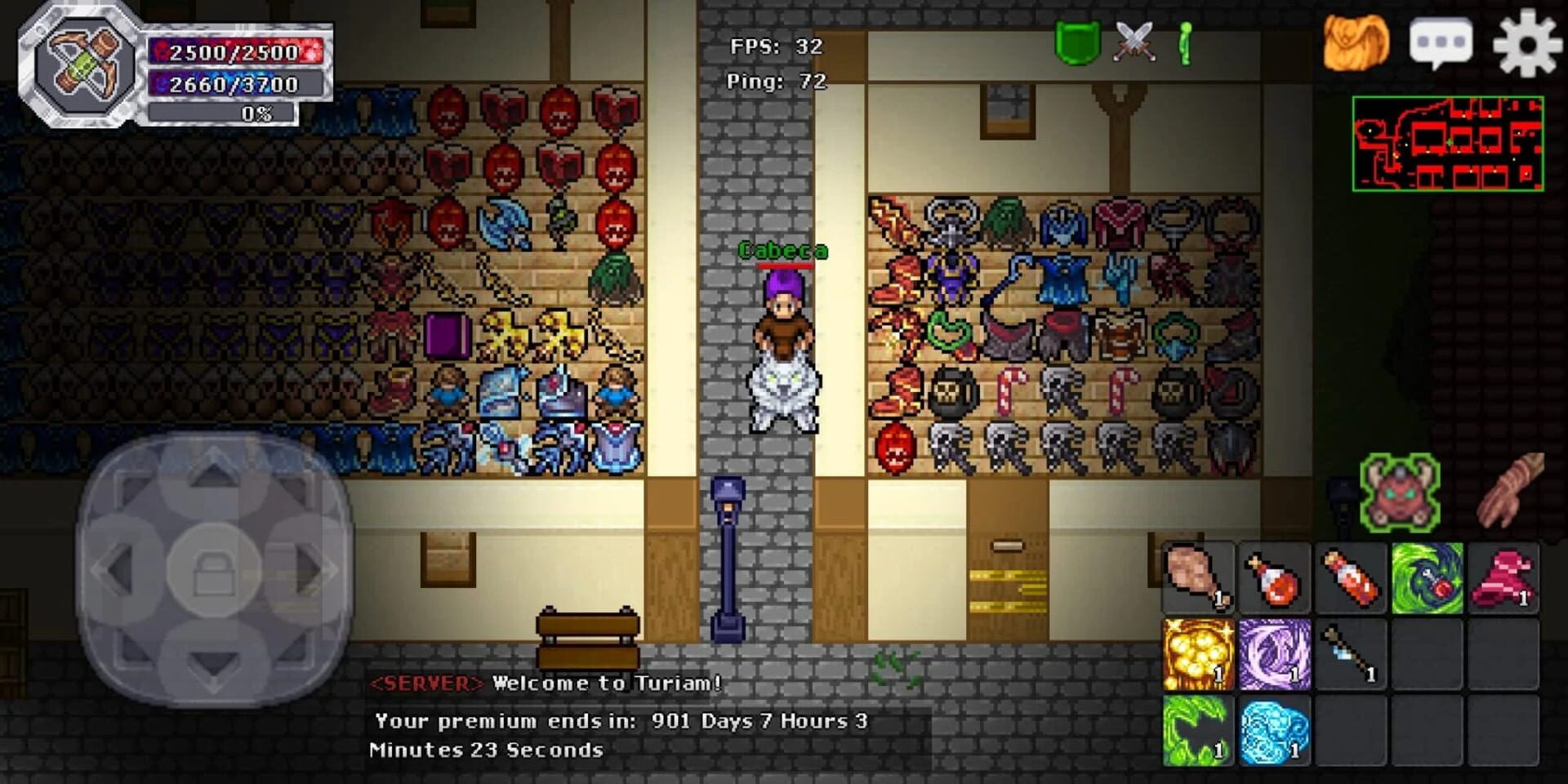 Helmo Online - Screenshot