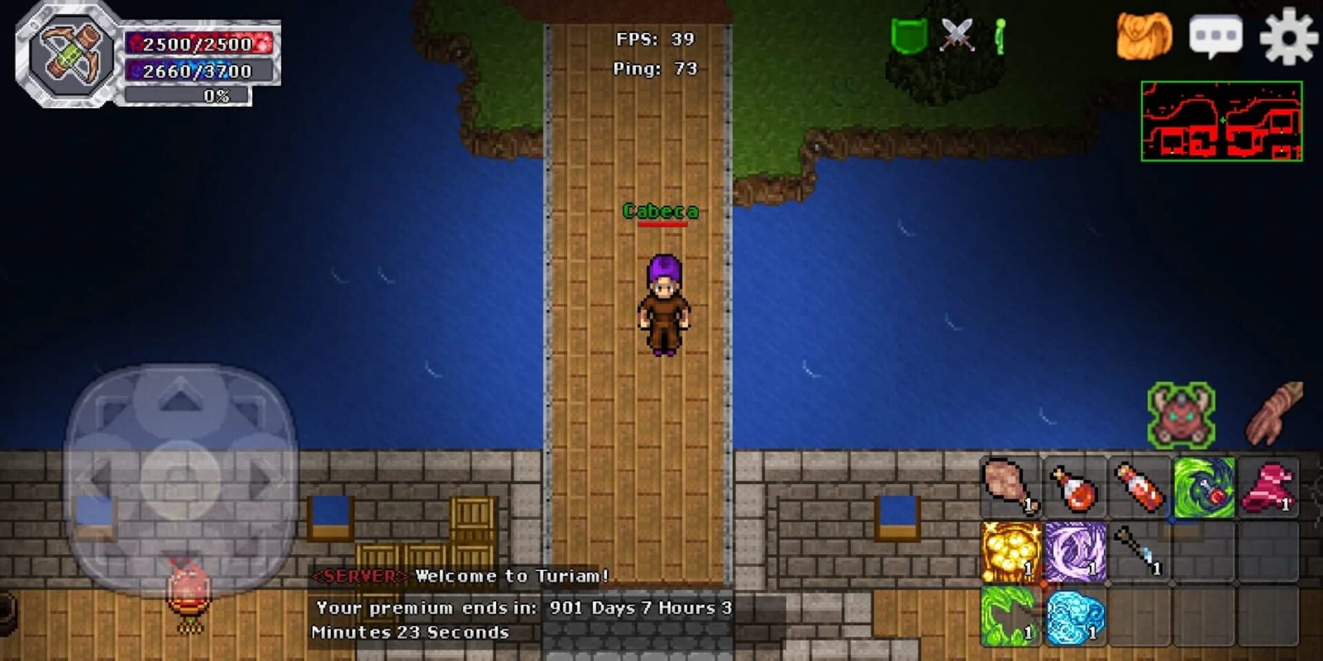 Helmo Online - Screenshot