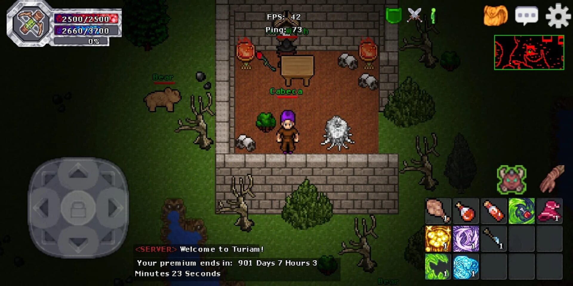 Helmo Online - Screenshot