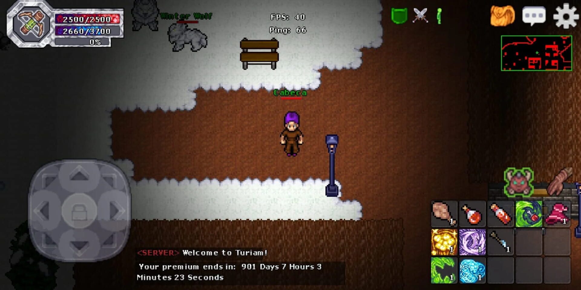 Helmo Online - Screenshot
