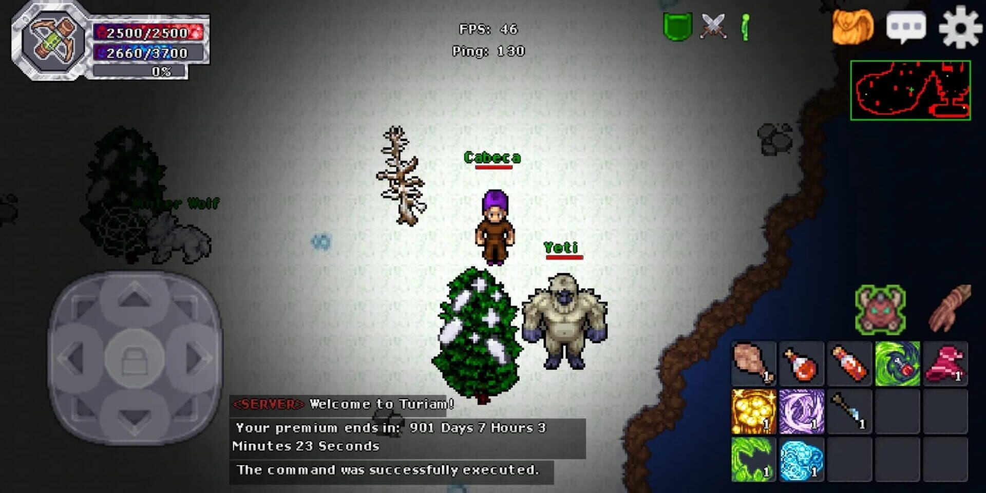 Helmo Online - Screenshot
