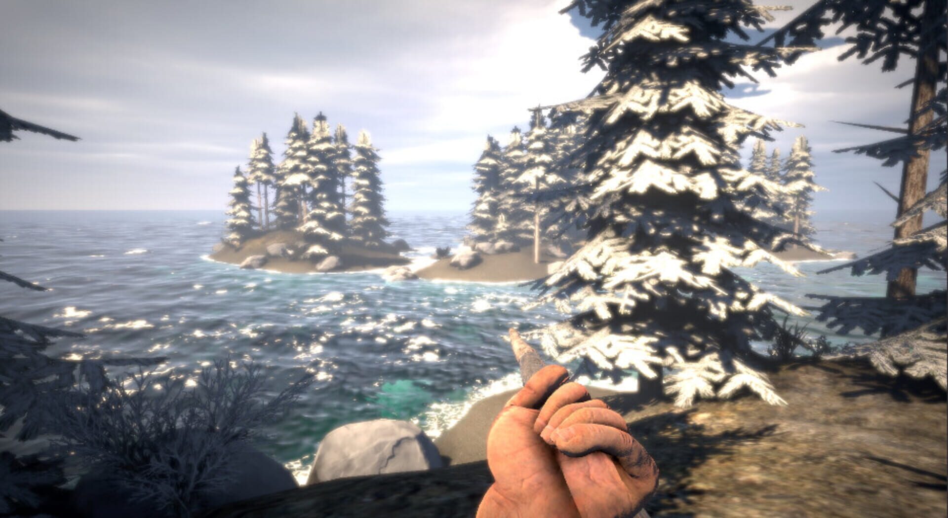 Survival Prototype X - Screenshot