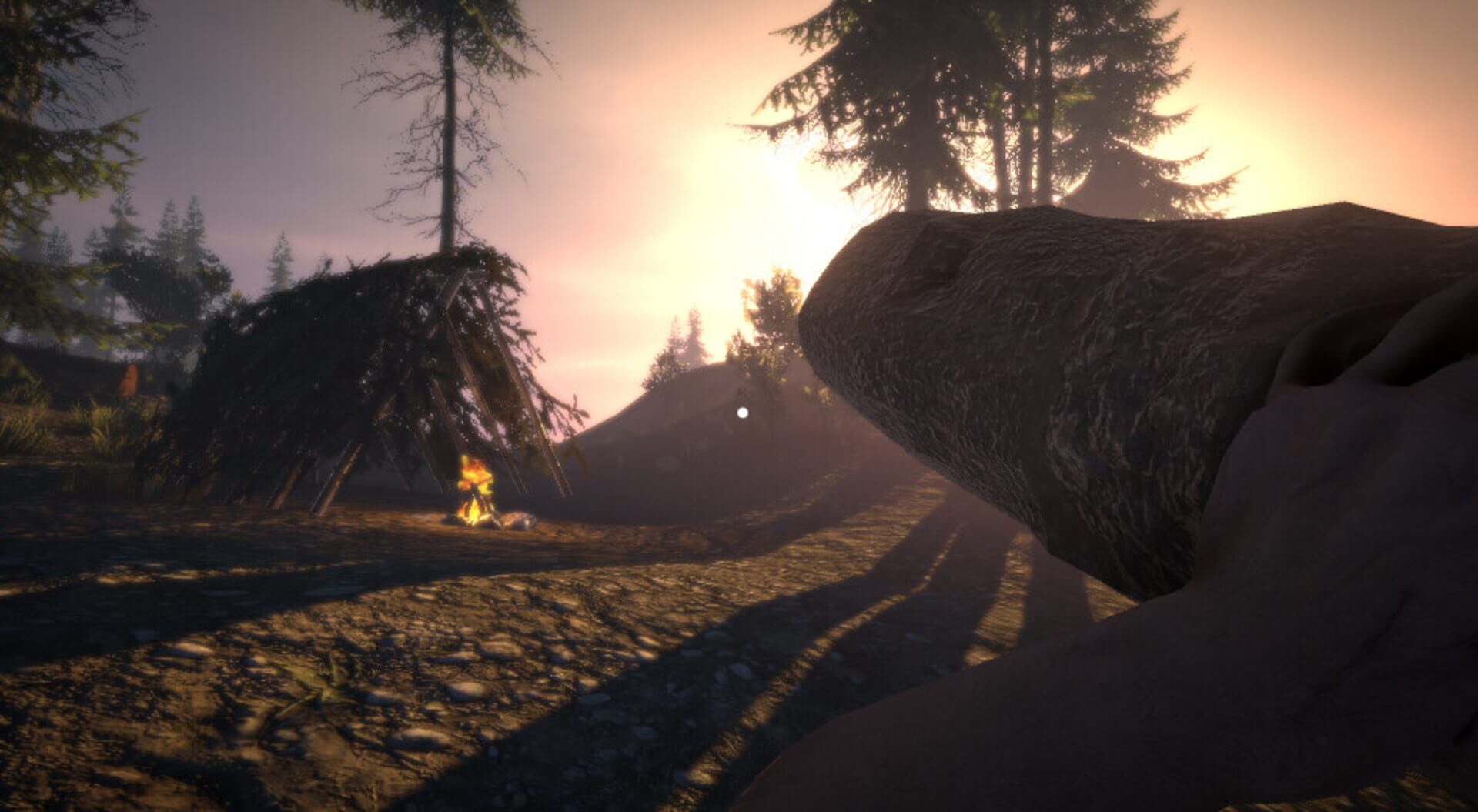 Survival Prototype X - Screenshot