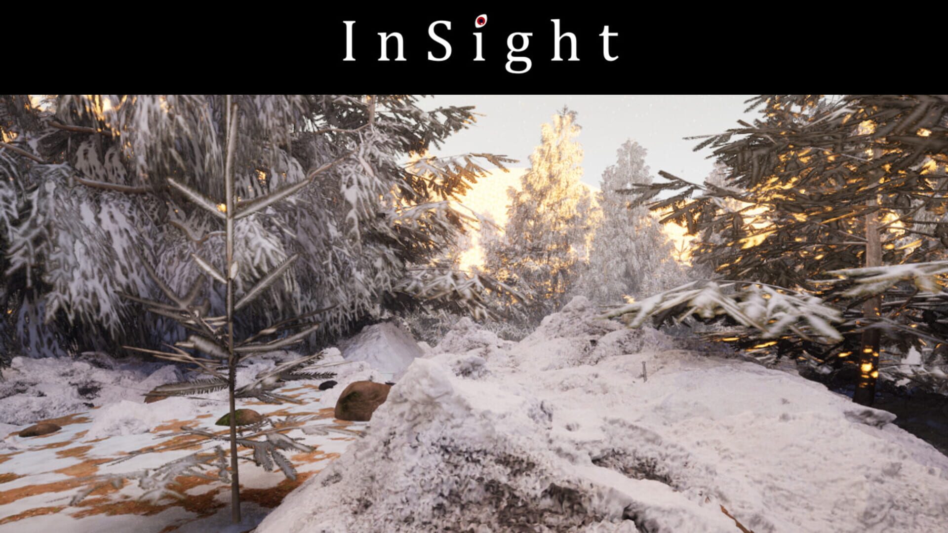 InSight - Screenshot