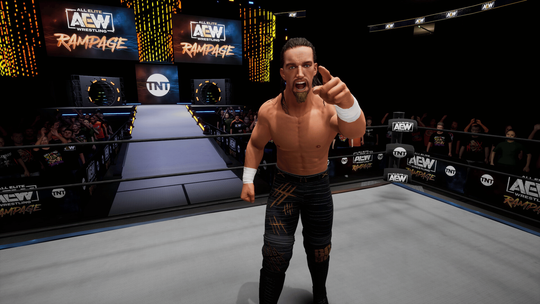 All Elite Wrestling: Fight Forever - Season Pass 4 screenshot