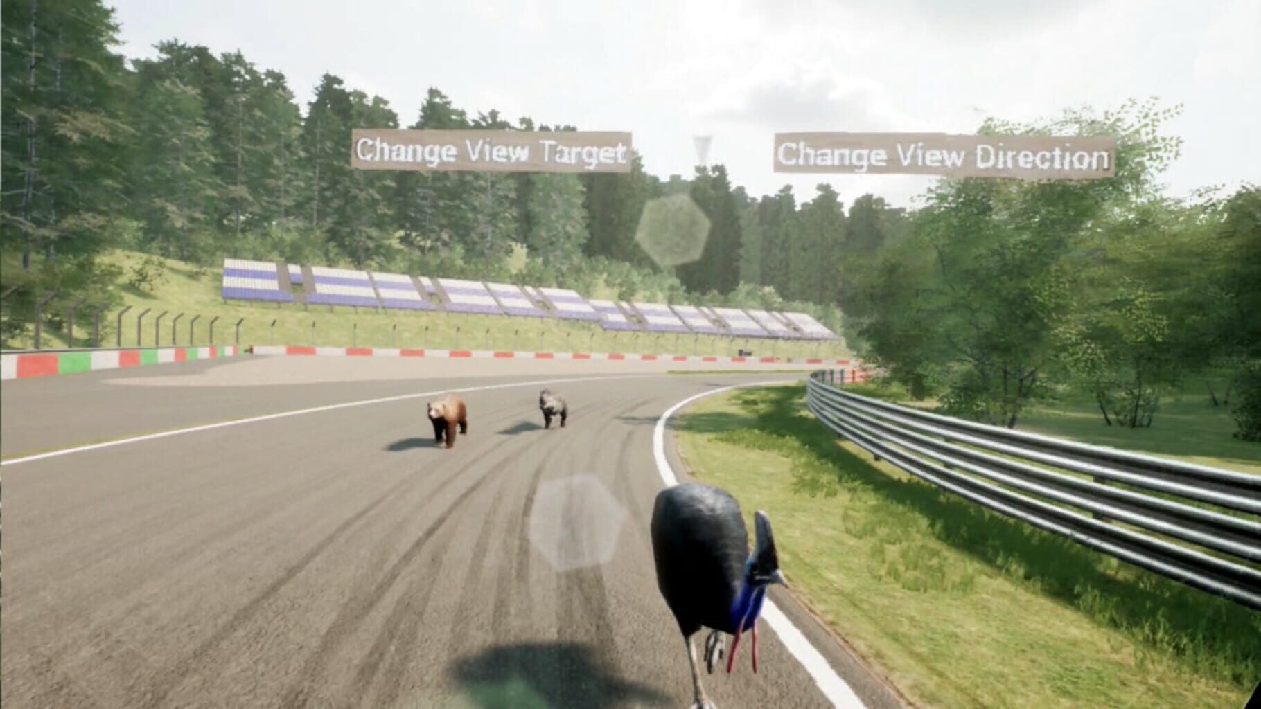 Captura de pantalla - Animal Race Run VR