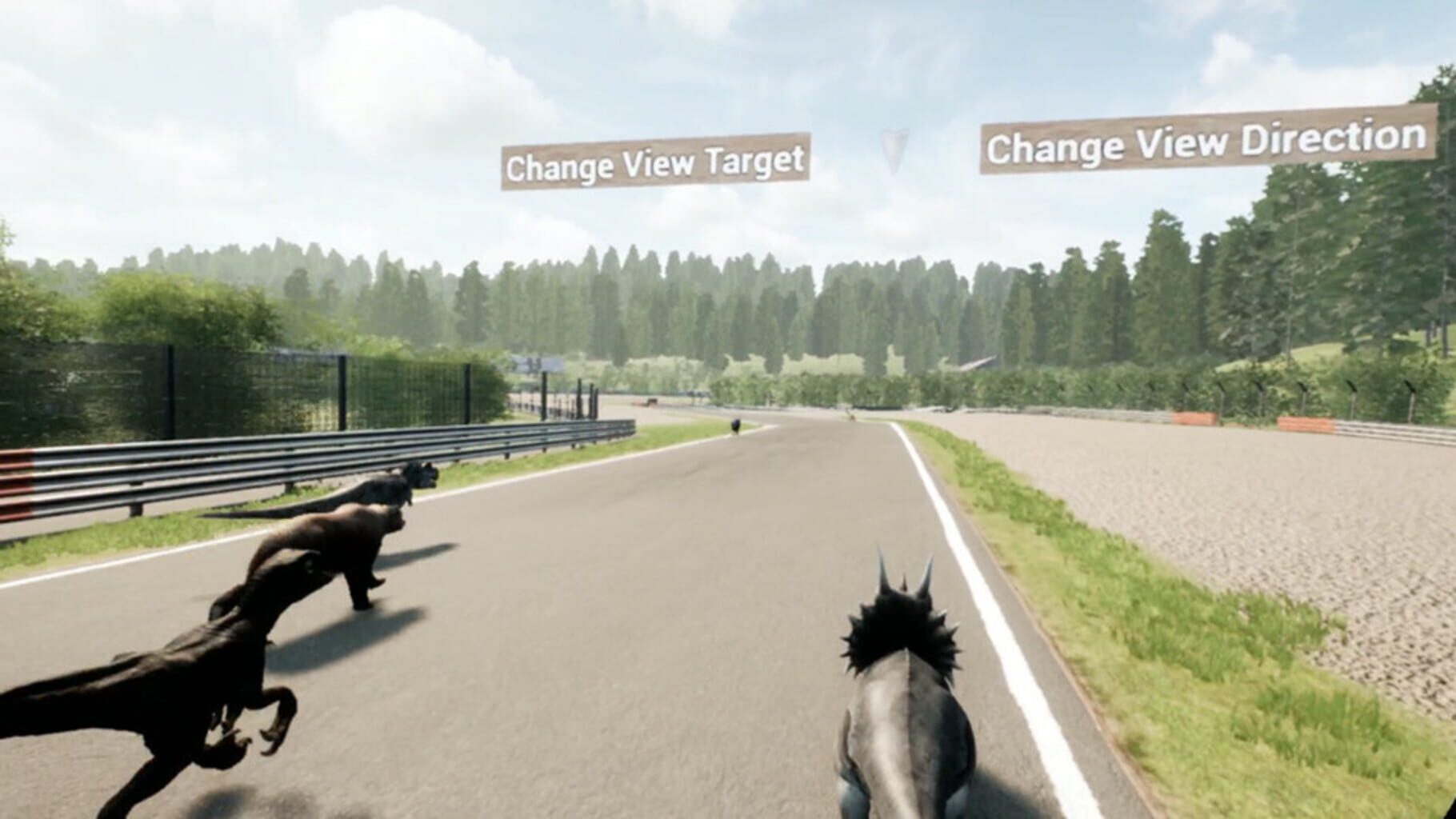 Captura de pantalla - Animal Race Run VR