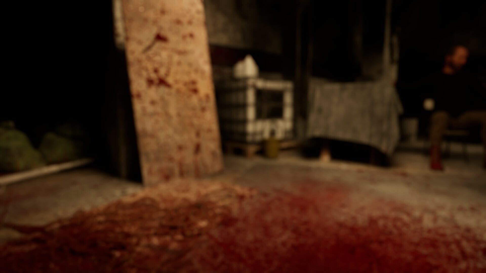The Shadows Within: Nightmare's Game - Screenshot