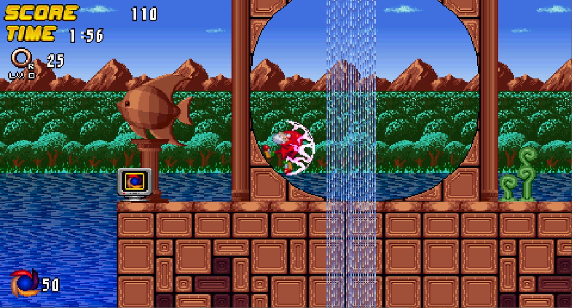 Sonic Frenzy Adventure