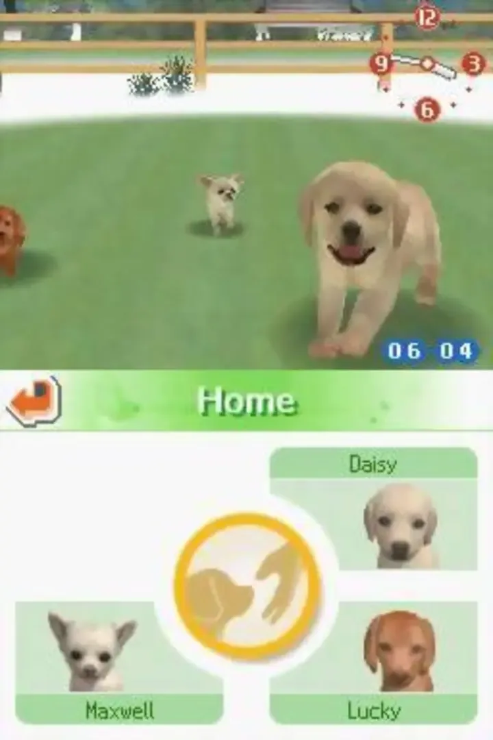Captura de pantalla - Nintendogs: Chihuahua & Friends