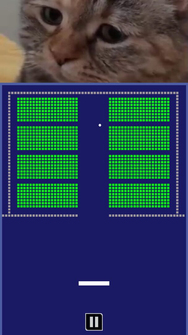 Chipi Chapa: Brick Breaker