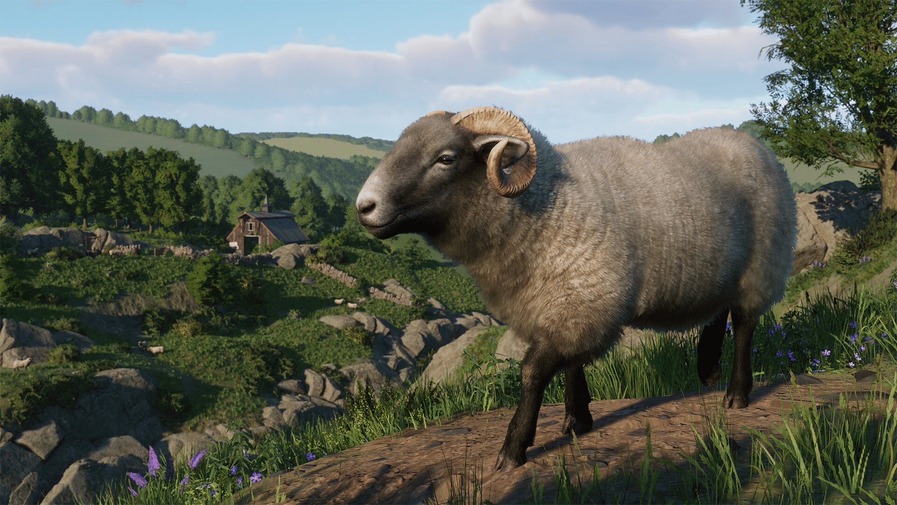 Planet Zoo: Barnyard Animal Pack screenshot