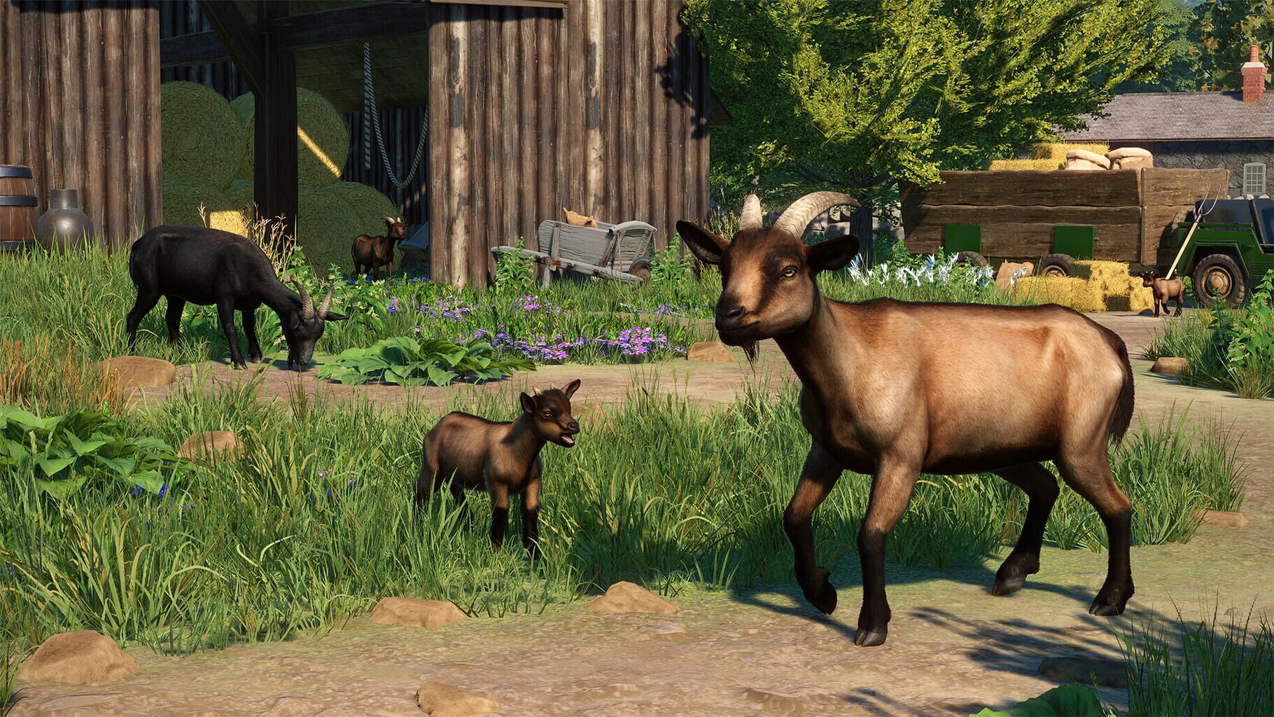 Planet Zoo: Barnyard Animal Pack