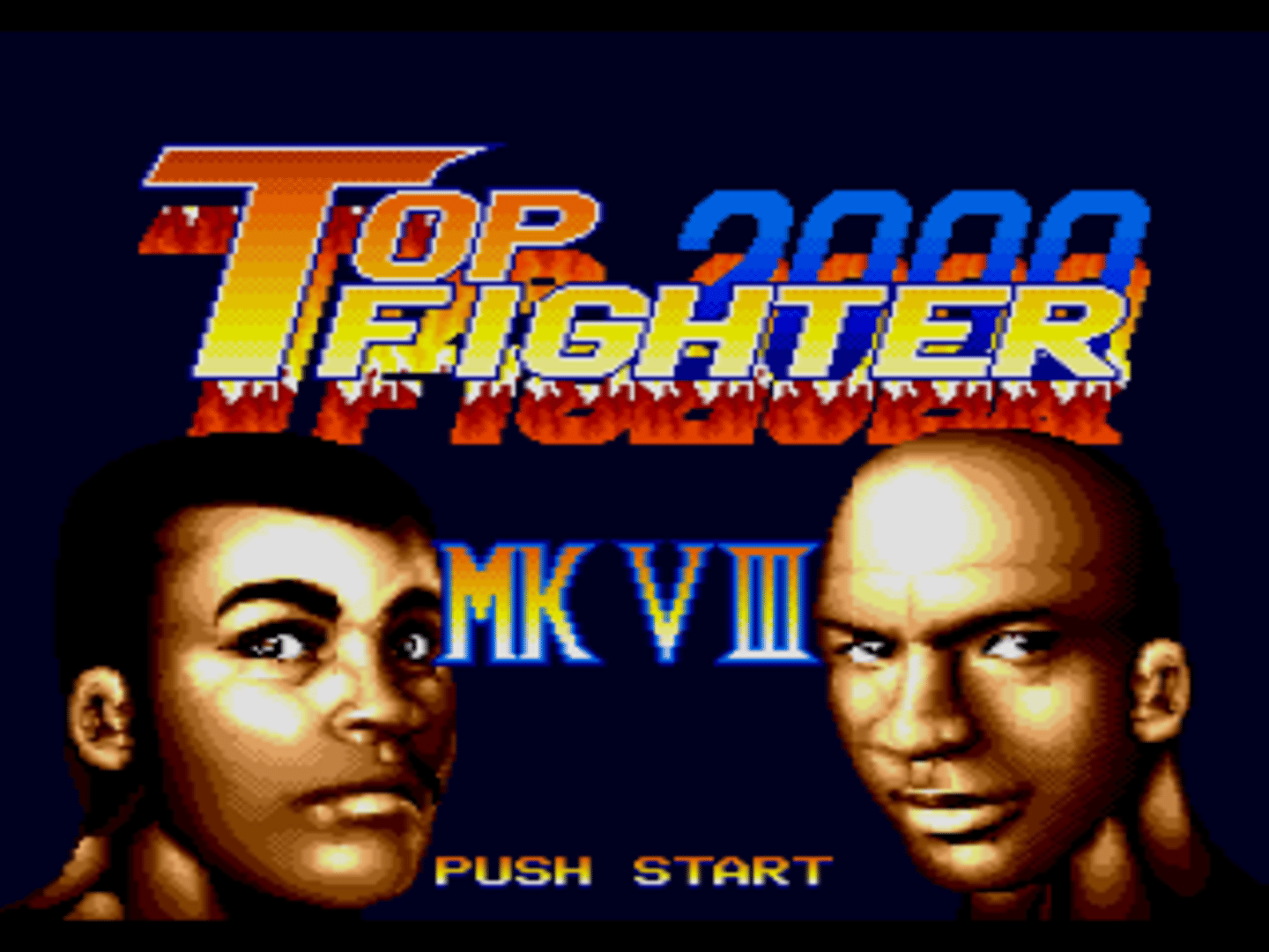 Top Fighter 2000 MK VIII screenshot