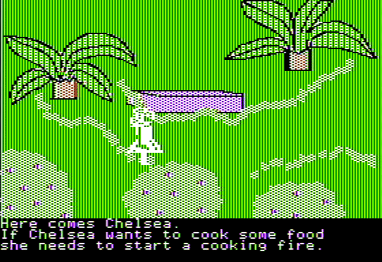 Chelsea of the South Sea Islands screenshot