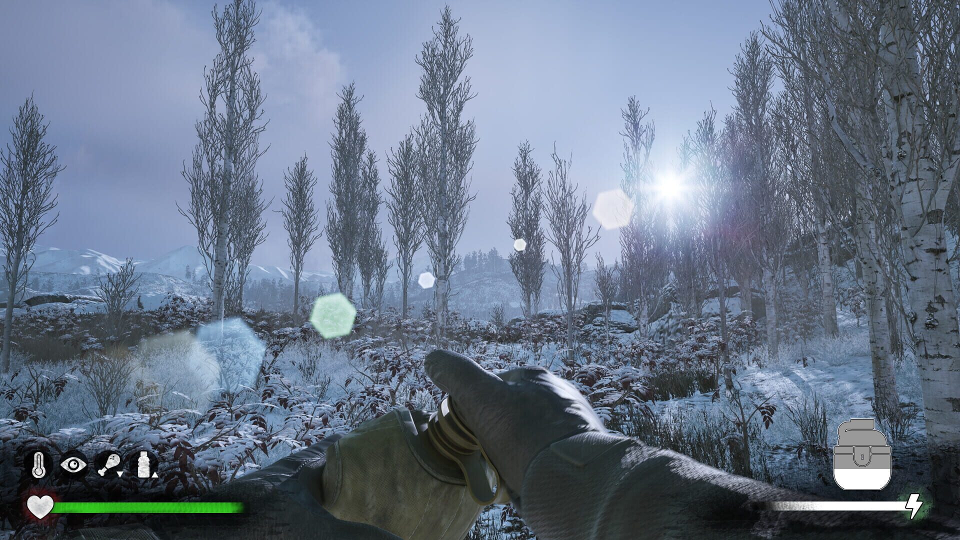 Winter Survival Simulator - Screenshot