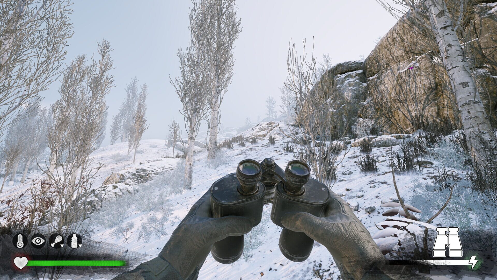 Winter Survival Simulator - Screenshot