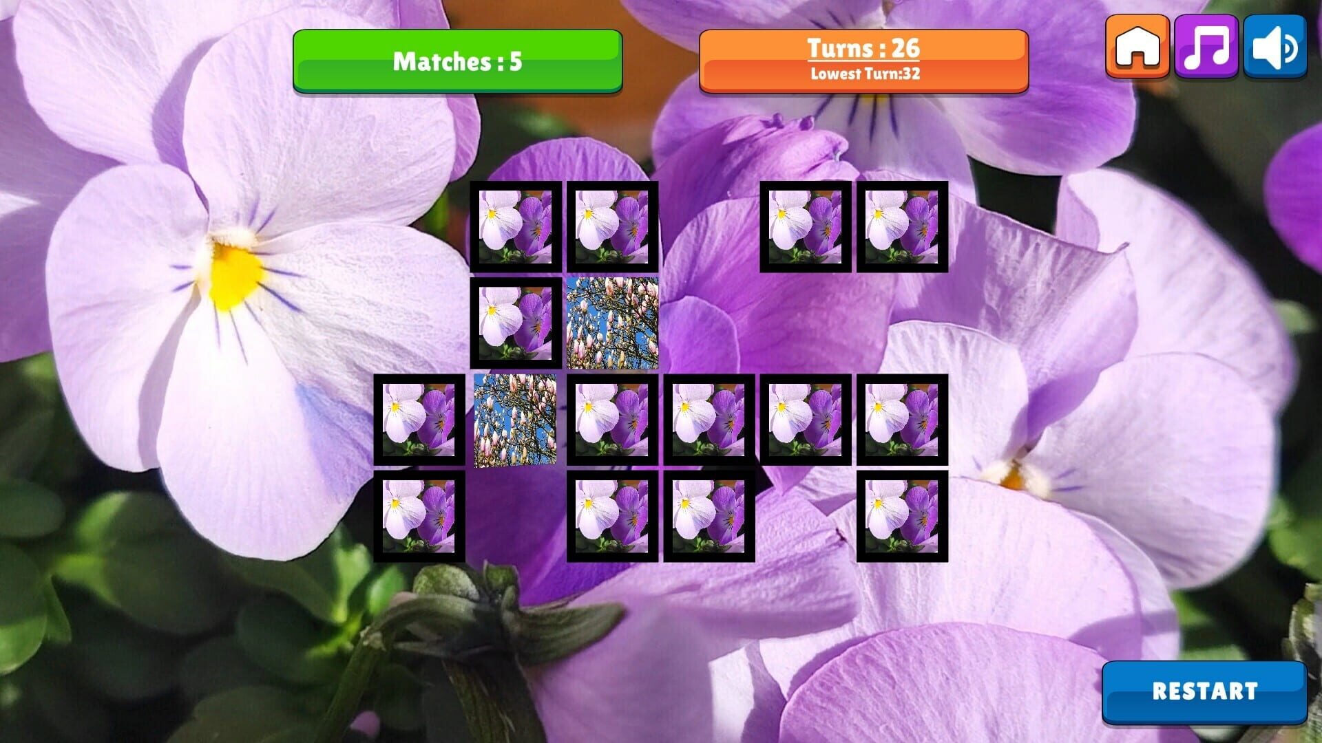 OG Memory: Spring 2K24 - Screenshot