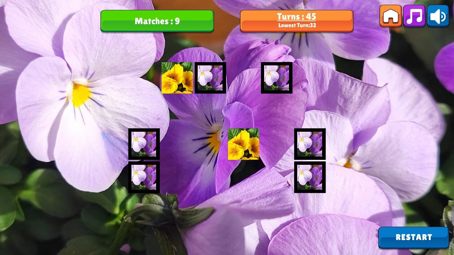 OG Memory: Spring 2K24 - Screenshot